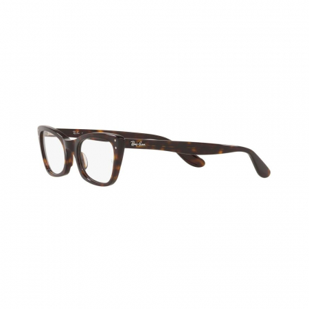Ray-Ban 5499 2012 Lady Burbank [6]