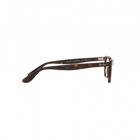 Ray-Ban 5499 2012 Lady Burbank [1]