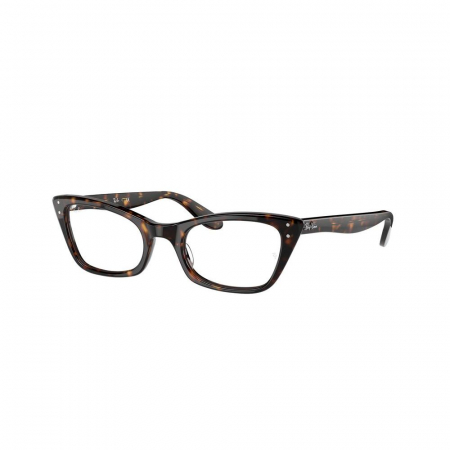 Ray-Ban 5499 2012 Lady Burbank [3]