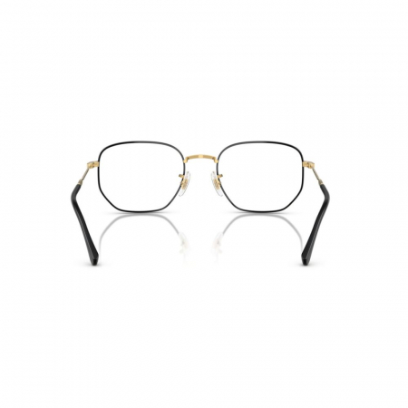 Ray-Ban 6496-3175 [3]
