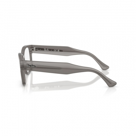 Ray-Ban 7256-8431 Laurene [2]