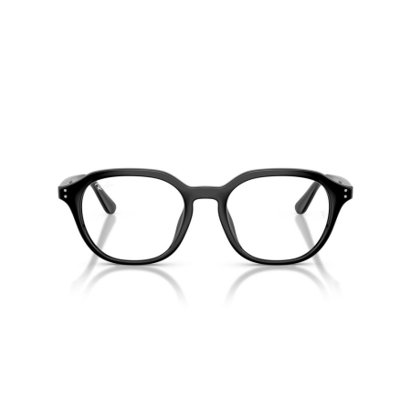 Ray-Ban 7259D-2000 [2]