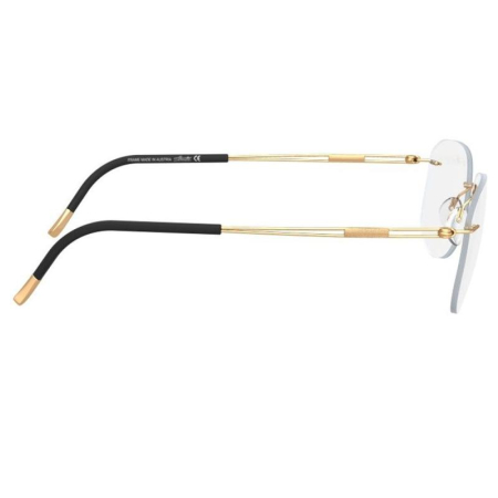 Silhouette 5521/EX-7530 [1]