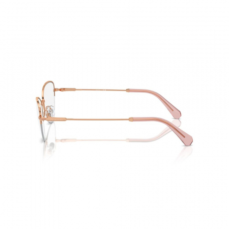 Swarovski 1010-4014 [2]