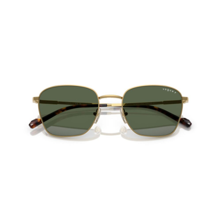  Vogue 4322S-280/9A Polarizat [3]