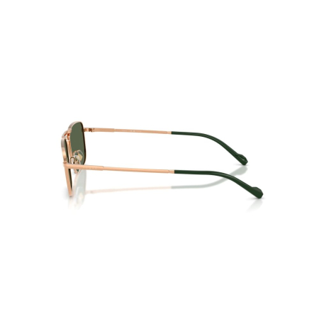 Vogue 4346S-51529A Polarizat [1]