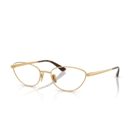 RAME DE VEDERE - Vogue 4355-848