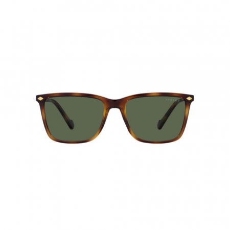 Vogue 5493S-27189A Polarizat [1]