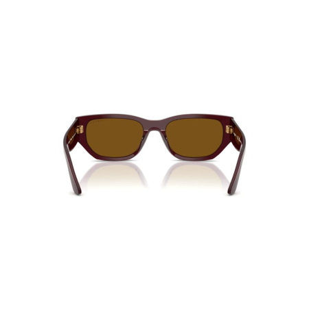 Vogue 5586S-328483 Polarizat [2]