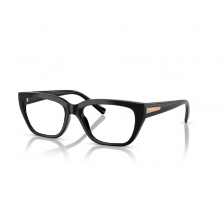 RAME DE VEDERE - Vogue 5609-W44