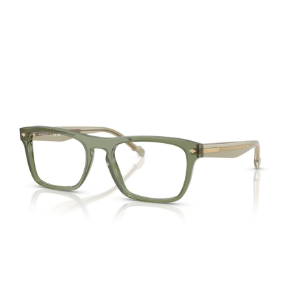 RAME DE VEDERE - Vogue 5619-3187