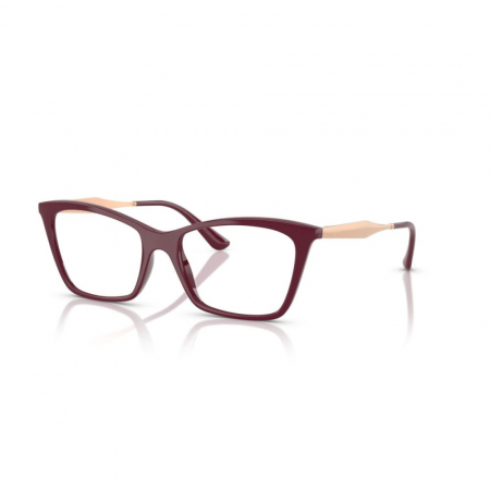 RAME DE VEDERE - Vogue 5624-2875
