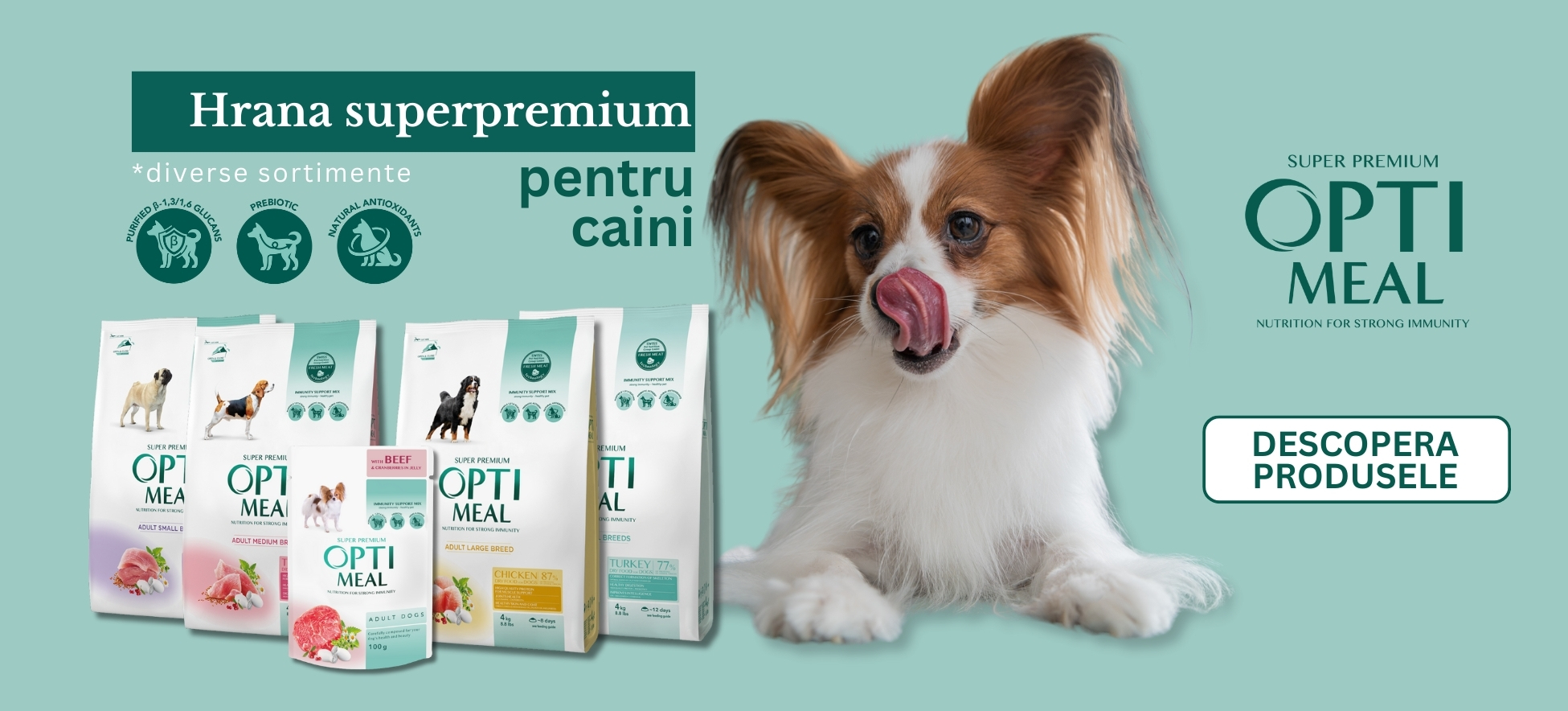 Optimeal hrana caini si catei