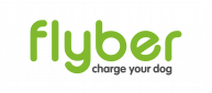 Flyber