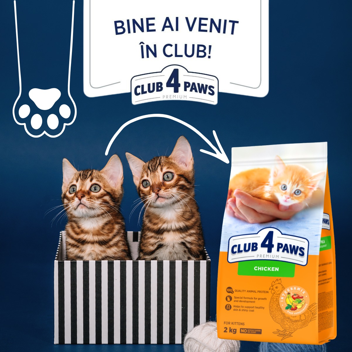 Cum influențează hrana dezvoltarea pisoiului