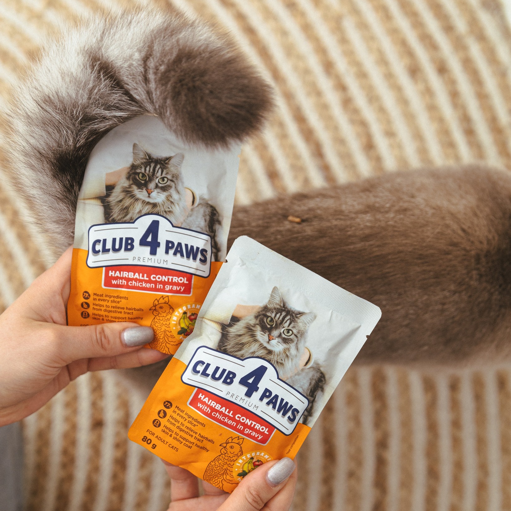 Obiceiuri sănătoase pentru o viață lungă – sfaturi de la Club4Paws