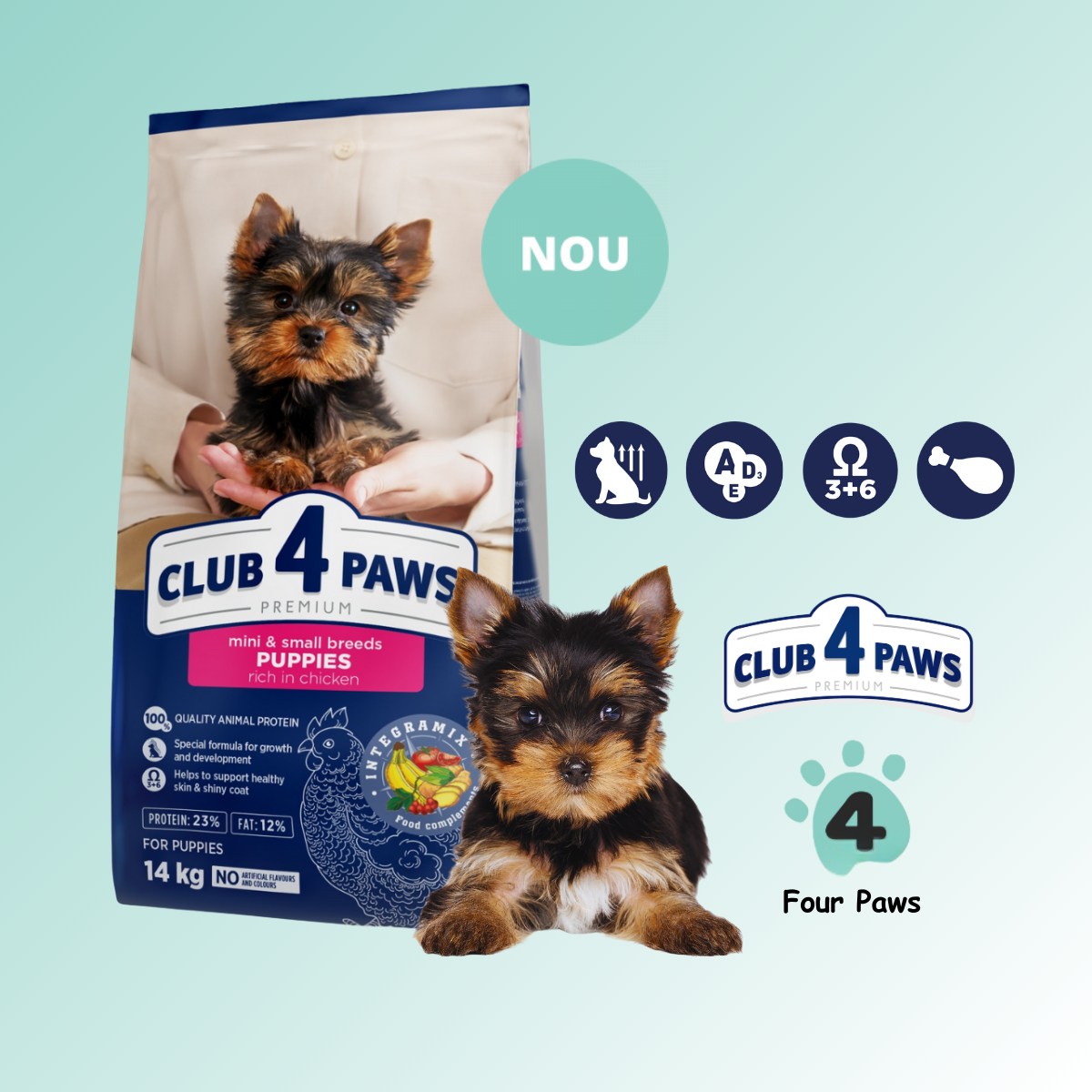 Cât de des trebuie hrănit un pui de câine și cum stabilești porția corectă?