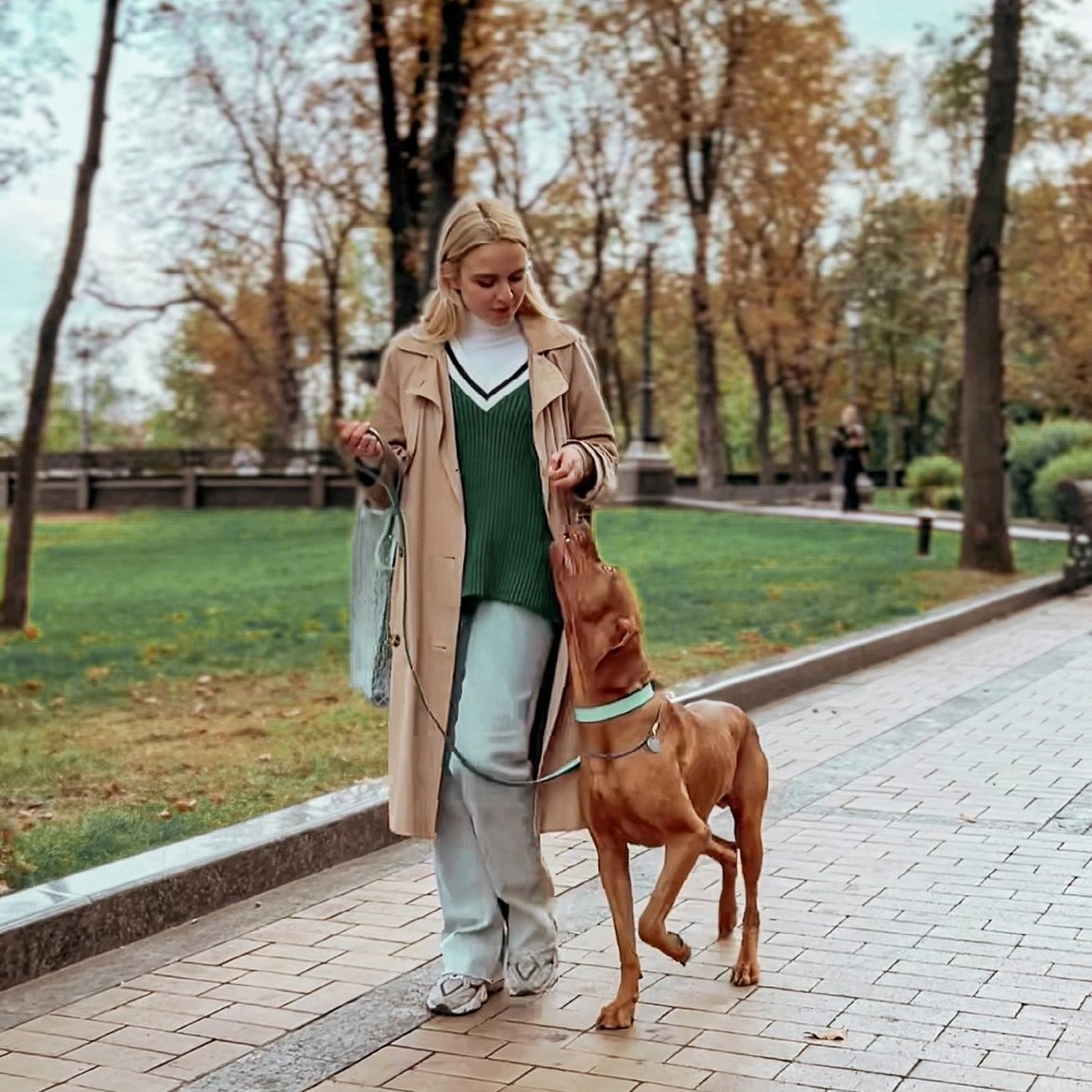 Schimbarea anotimpurilor și stresul câinilor