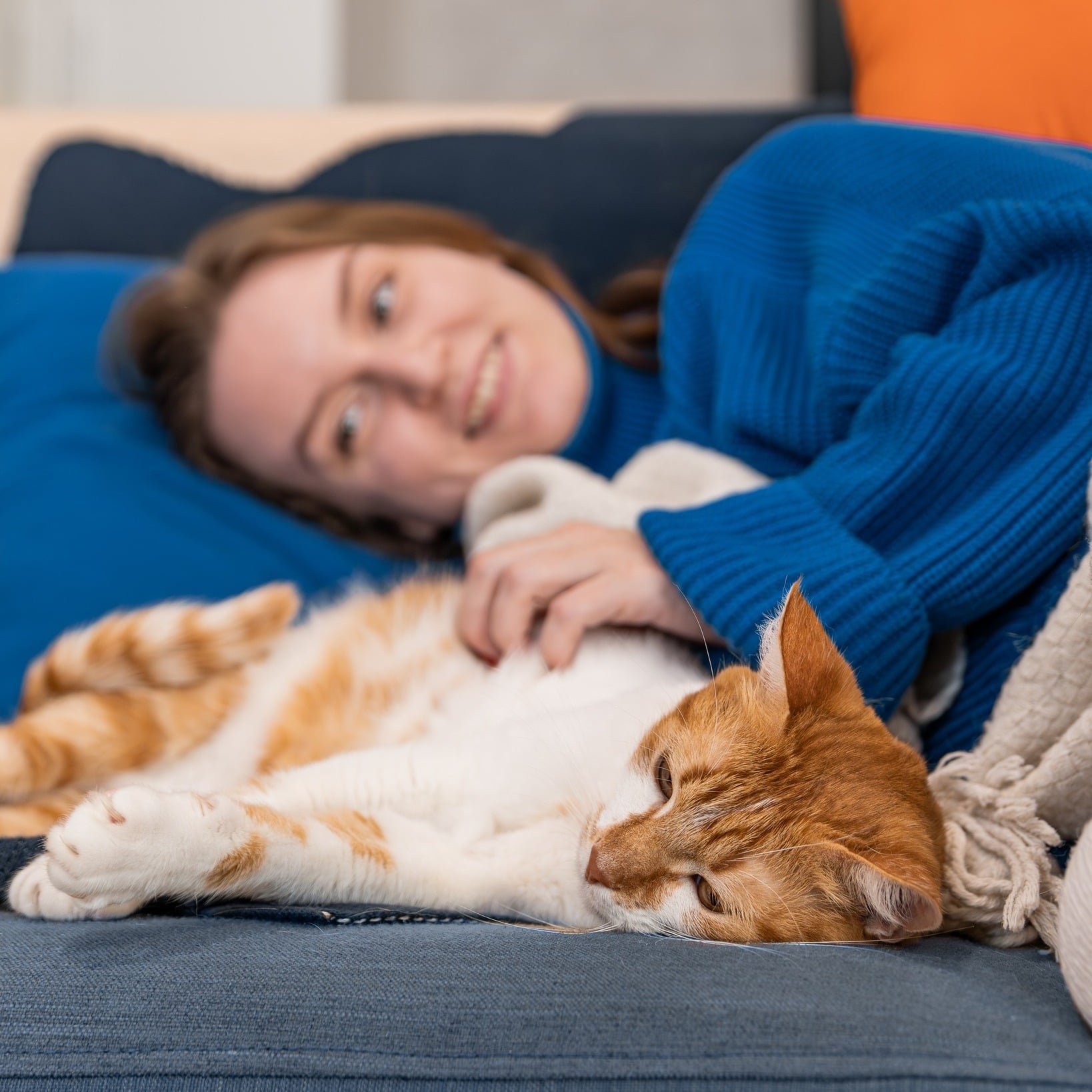 Hrana premium și echilibrul emoțional al pisicii – există o legătură?