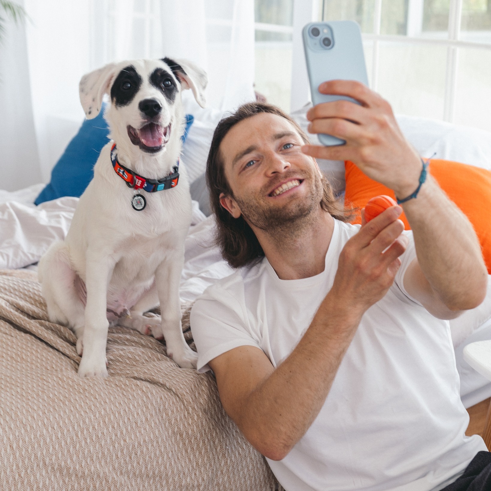 Cum contribuie hrana premium la energia zilnică a câinilor activi?