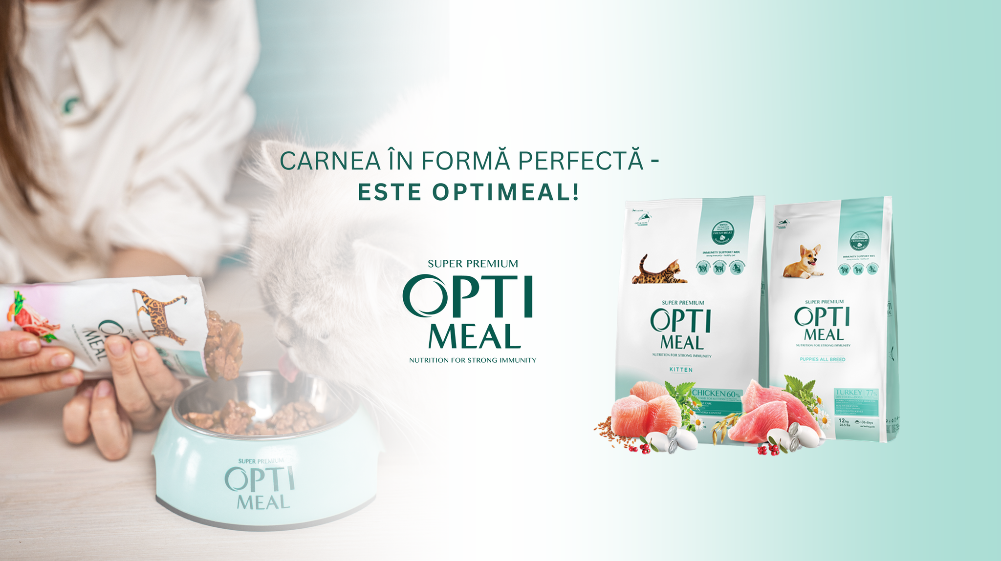 Cum hrănești un câine și o pisică în aceeași casă?