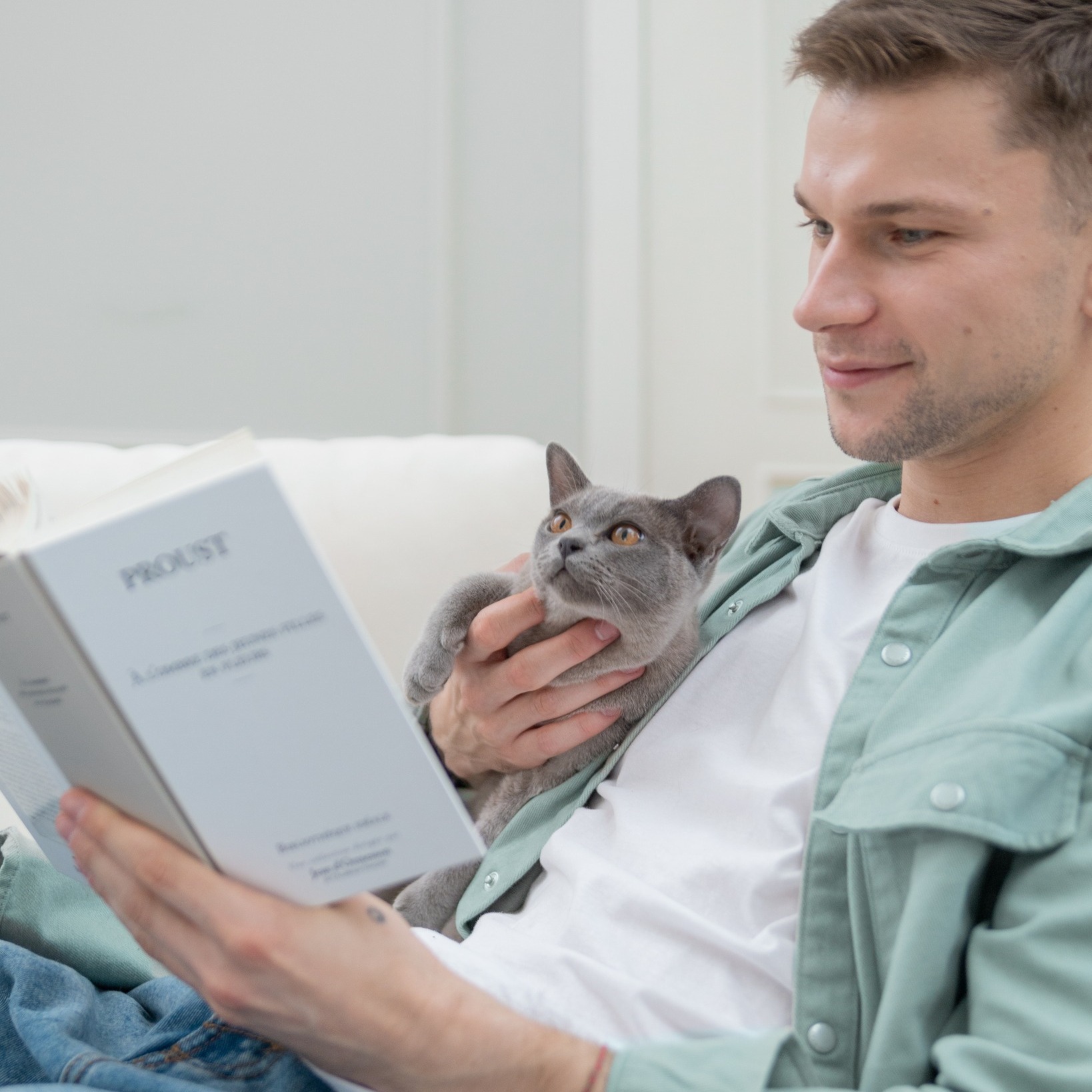 Hrană umedă vs hrană uscată la pisici. Cum alegi echilibrat?