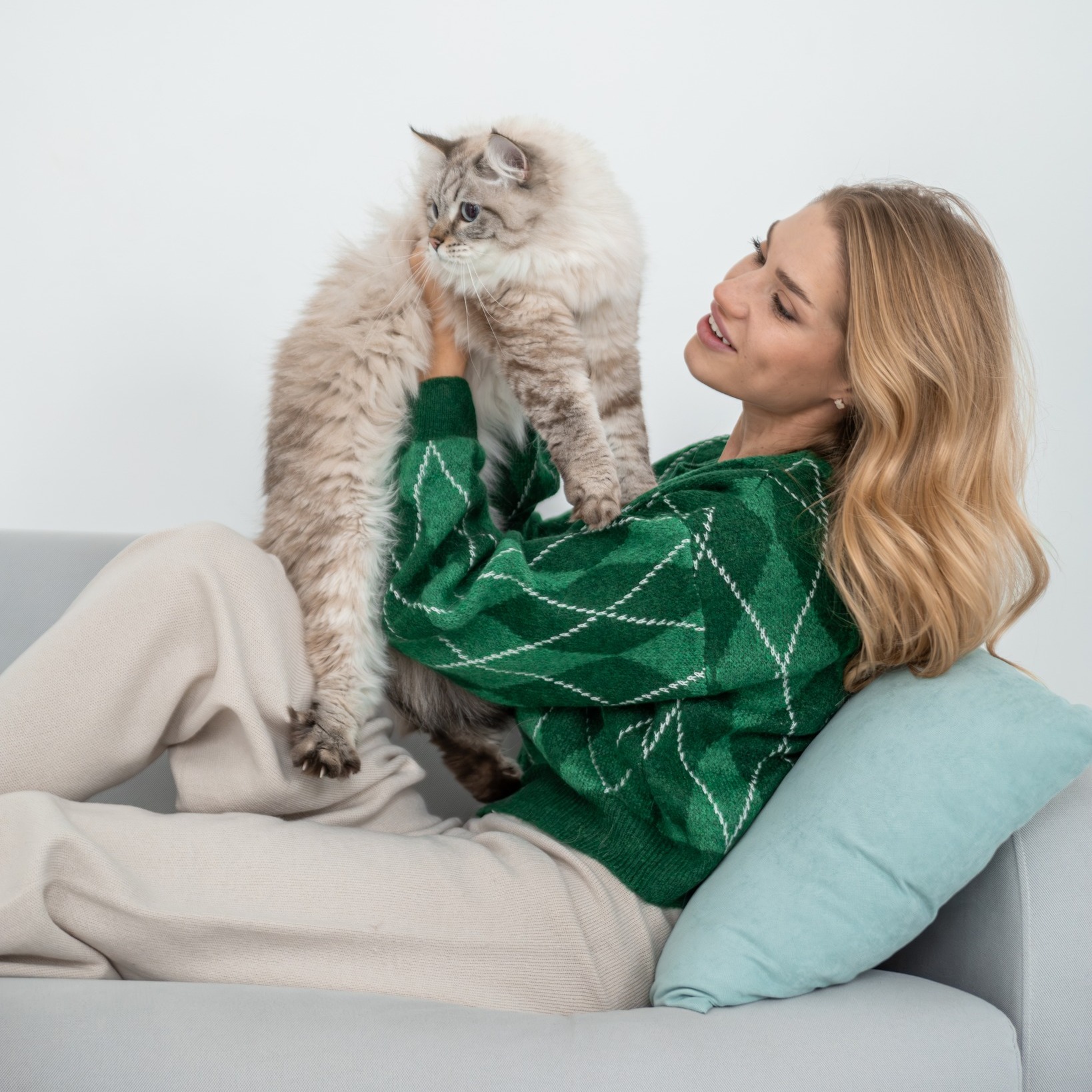 Controlul greutății la pisici: porția corectă și greșelile frecvente