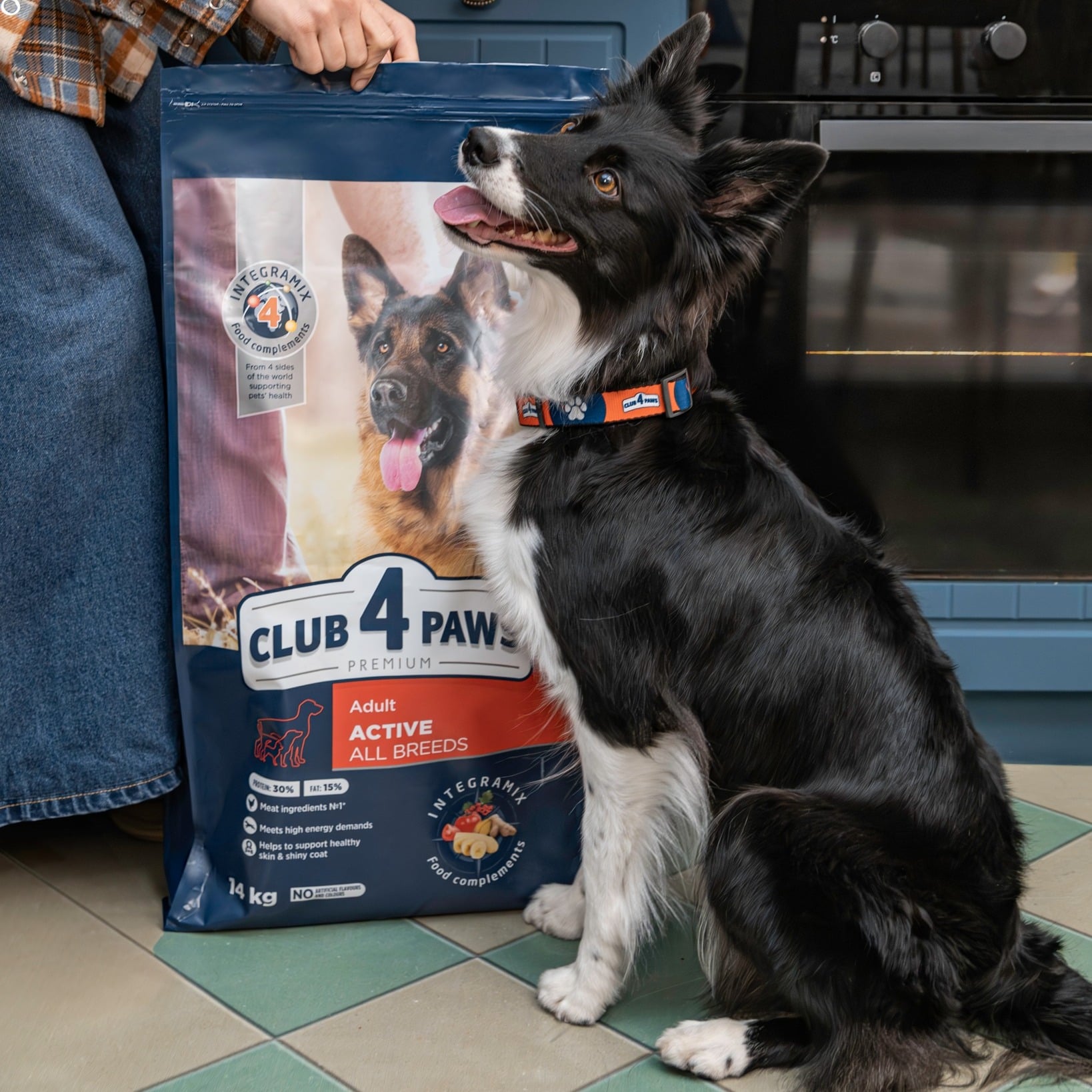 Cum îți dai seama că hrana i se potrivește câinelui tău?