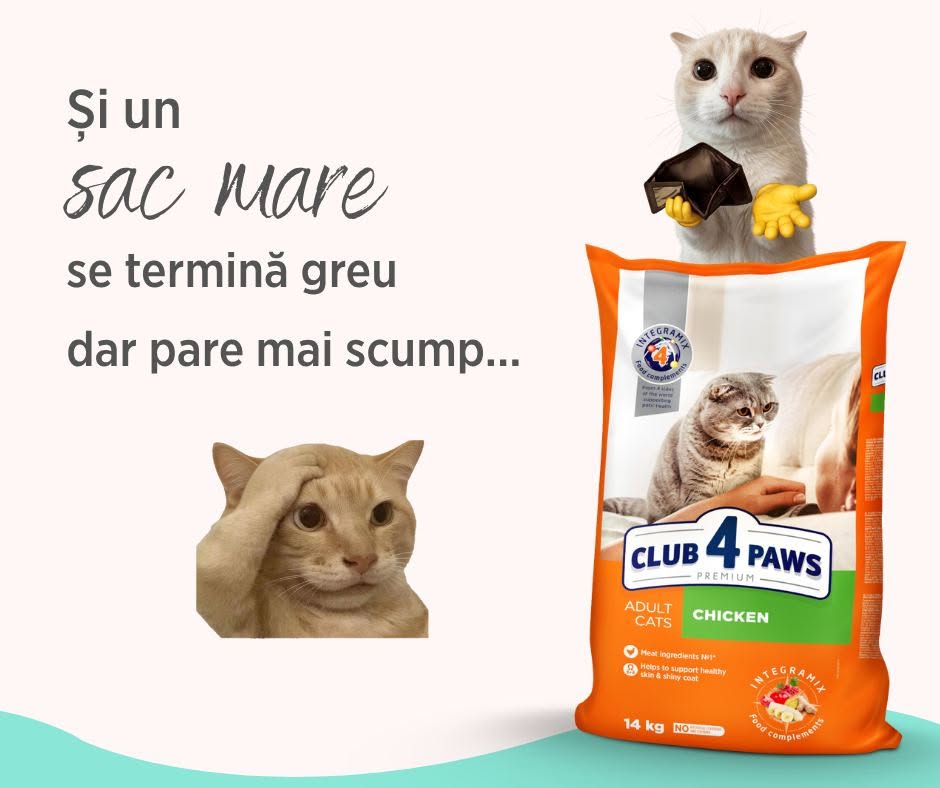 Cum calculezi consumul lunar de hrană al unei pisici?