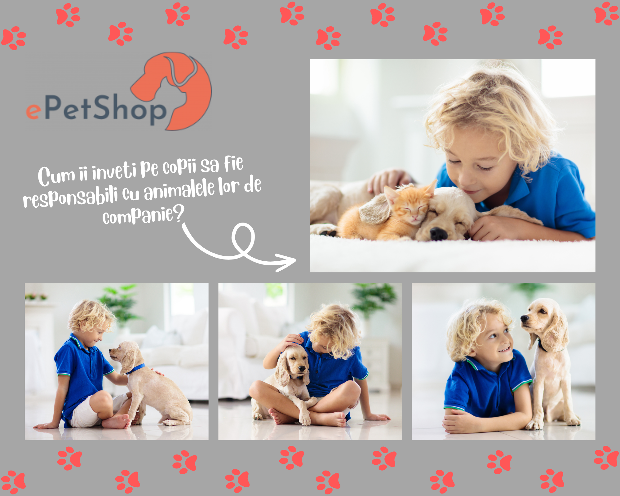 Cum ii inveti pe copii sa fie responsabili cu animalele lor de companie?