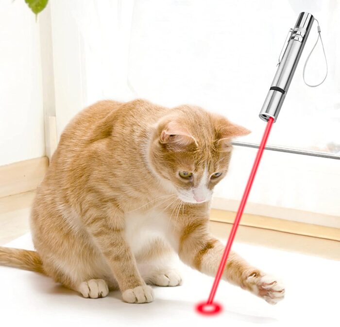 jucarii laser pentru pisici