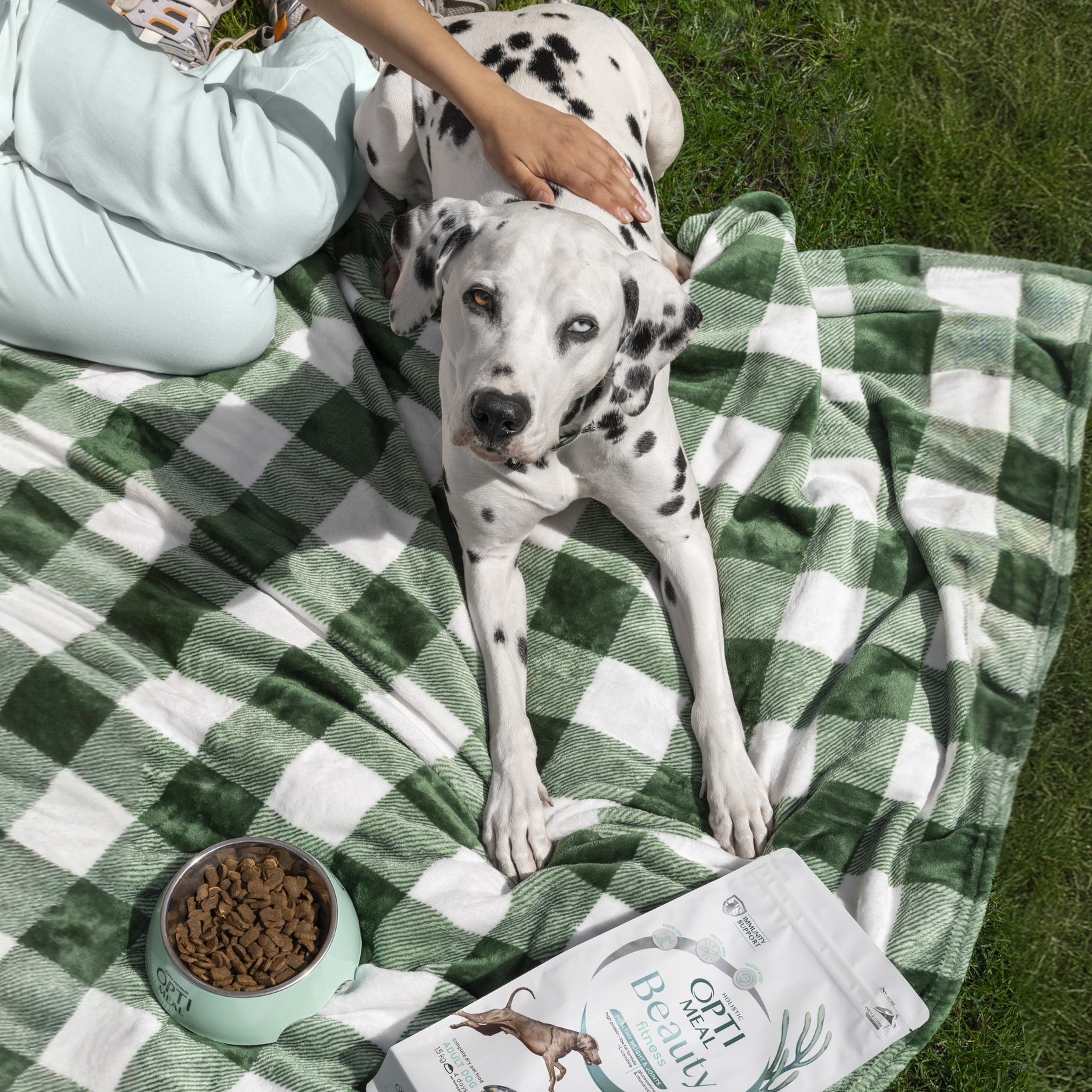 Dalmatienii si copiii. De ce este aceasta rasa ideala pentru familii?