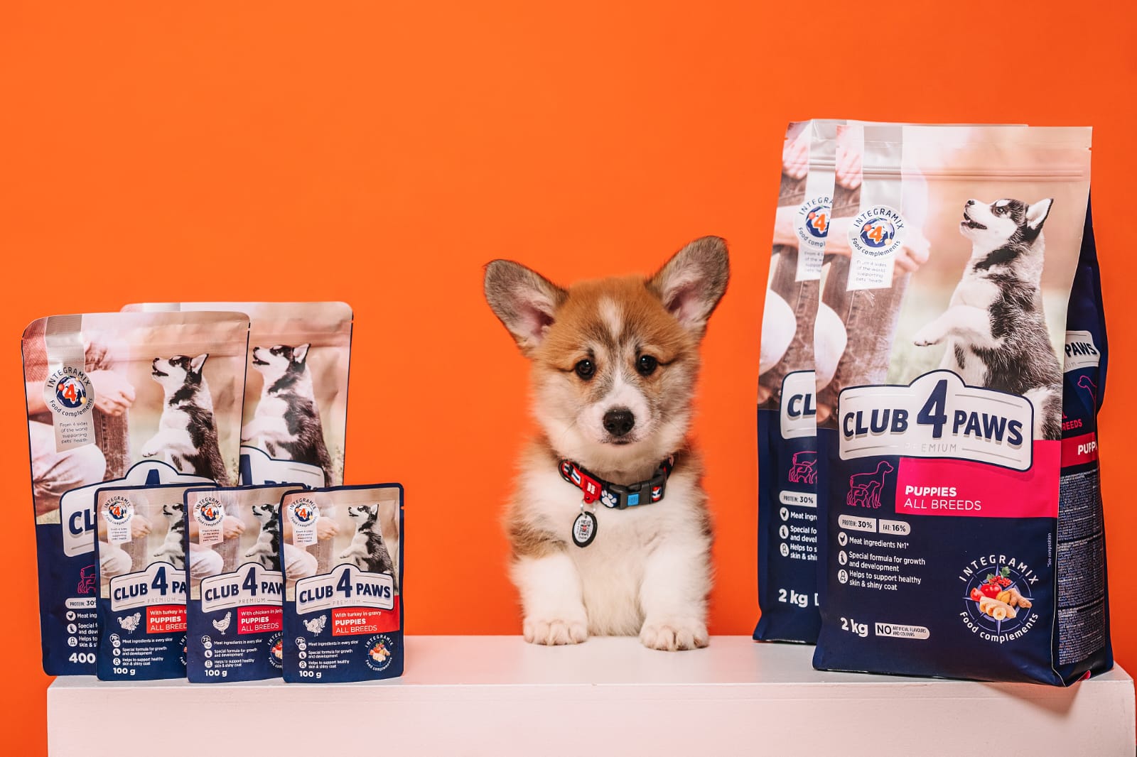 Hrană pentru câini