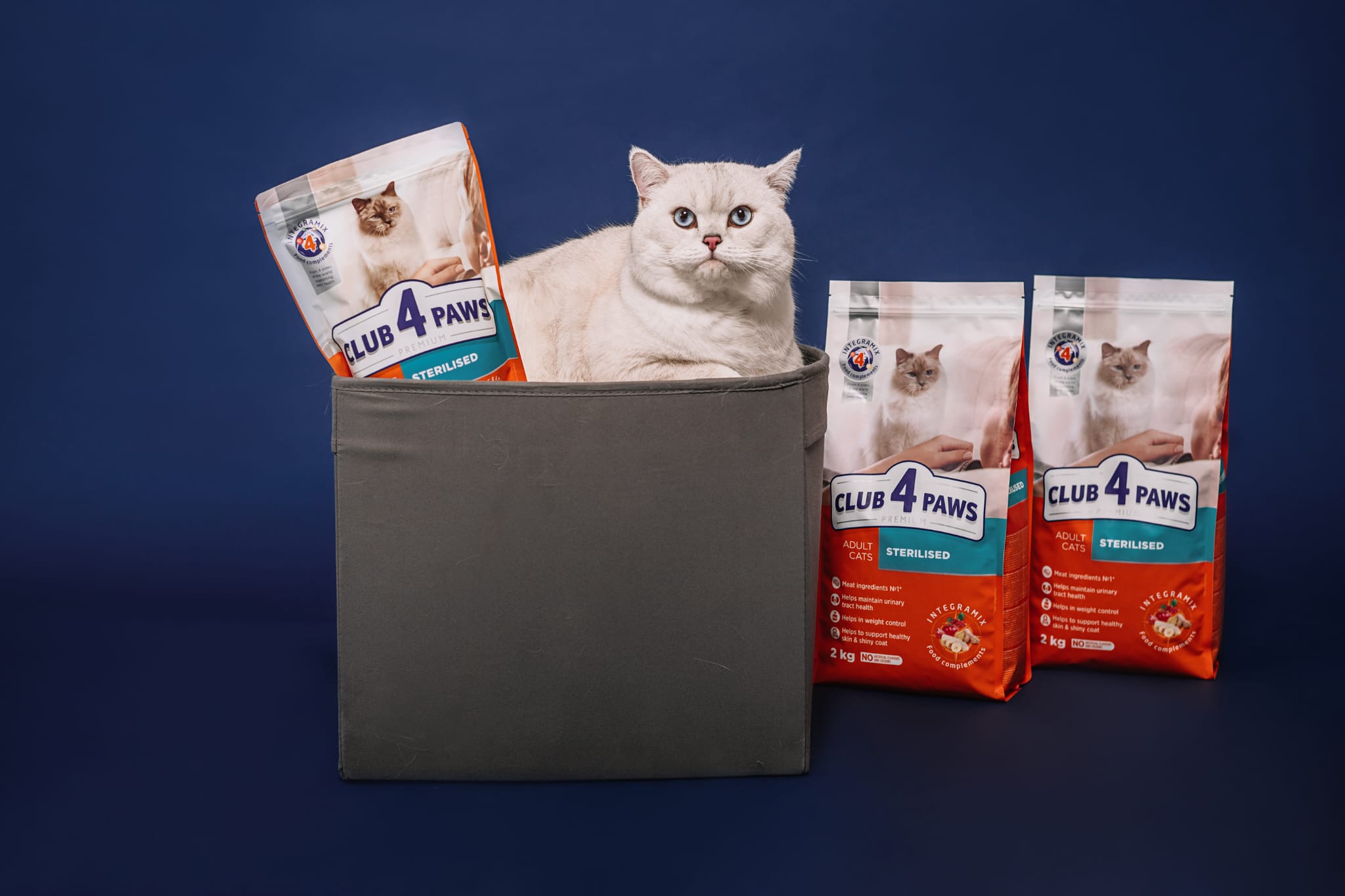 Hrană pentru pisici