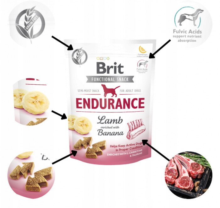 Recompense pentru caini activi, Brit Care [3]
