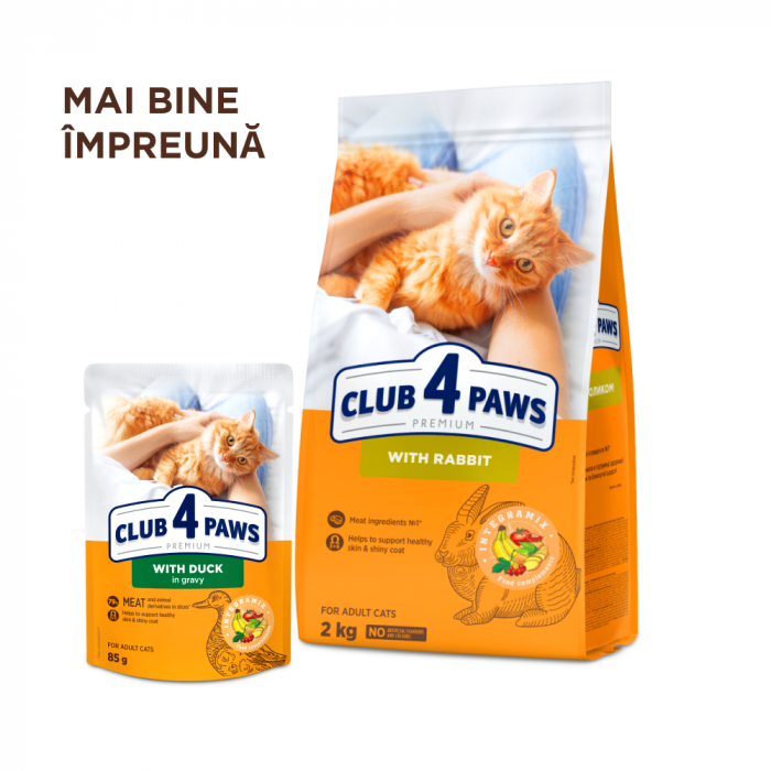Club 4 Paws, Hrana umeda pentru pisici, rata in sos, 24x85g [6]