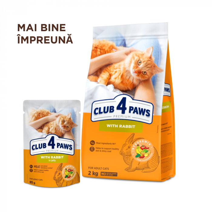 Club 4 Paws, Hrana umeda pisici, Iepure in jeleu, set 24x85g [6]
