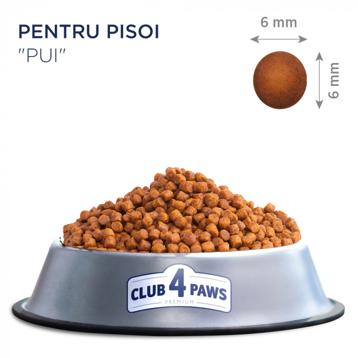 Club 4 Paws, Hrana uscata pentru pisoi cu pui, 2kg [3]