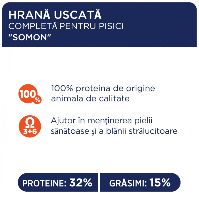 Club 4 Paws, Hrana uscata pisici adulte cu somon, 2kg [2]
