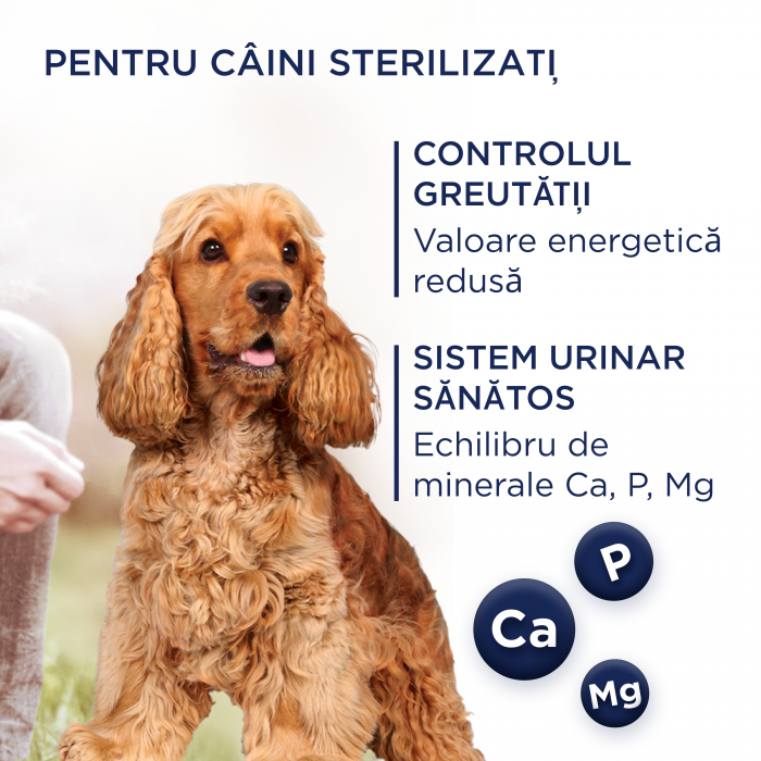 Club 4 Paws, Light, Hrana uscata caini adulti sterilizati de talie medie, 5kg [3]