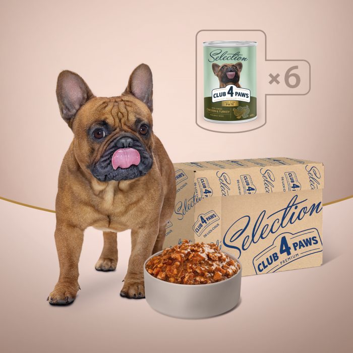 Club 4 Paws Premium Hrana umeda caini adulti - Pate cu curcan si miel, 6x400 g [4]