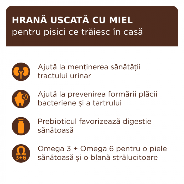 Club 4 Paws, Premium Indoor, Hrana uscata pisici adulte, cu miel, 2kg [2]