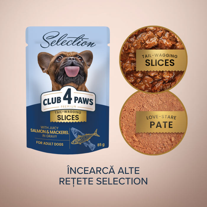 Club 4 Paws Premium Plus, Selection, Hrana pentru caini adulti de talie mica -Bucati de somon si macrou in sos,12x85g [4]