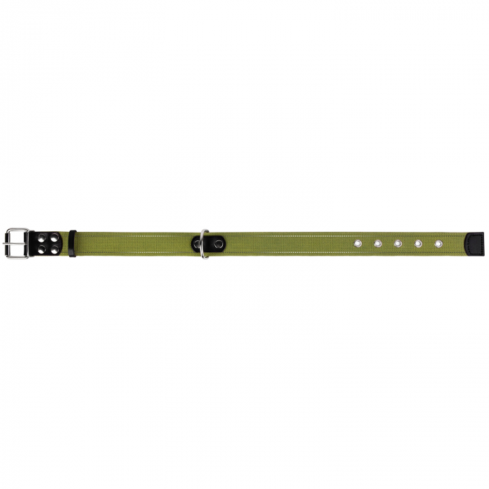 Zgarda pentru Caini Verde, Circumferinta Gatului: 51-63 cm, Collar [2]