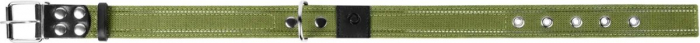 Collar, Zgarda caini dubla, 35mm latime, 51-63cm lungime, verde [5]