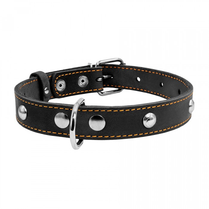 Collar, Zgarda S, caini, din piele, cu decor metalic, negru [2]