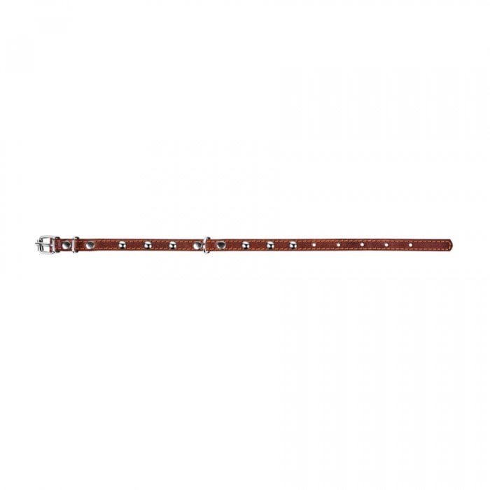 Collar, Zgarda XS, caini, din piele, cu decor metalic, maro [3]