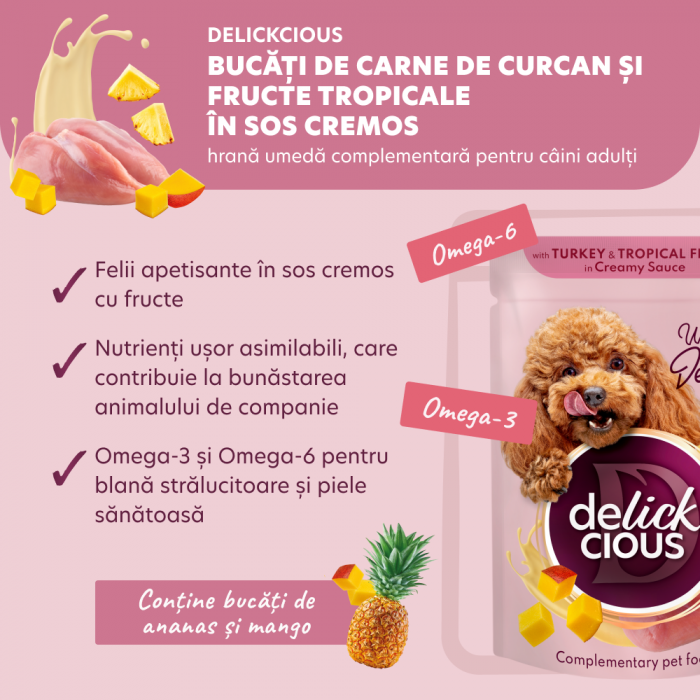 DELICKCIOUS, Bucăți de carne de curcan și fructe tropicale în sos cremos, pentru caini, 80g [3]