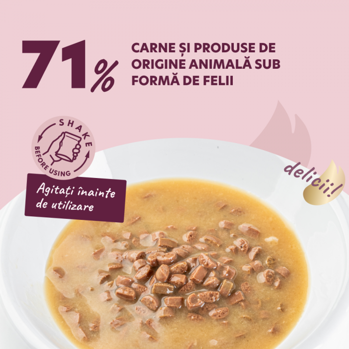 DELICKCIOUS, Bucăți de carne de curcan și fructe tropicale în sos cremos, pentru caini, 80g [2]