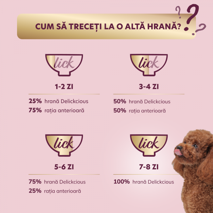 DELICKCIOUS, Bucati de carne de miel si fructe de padure in sos cremos, pentru caini, 80g [4]